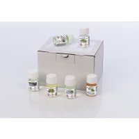 Aufguss-Set (20 Fläschchen mit je 30 ml)